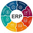 ERP-Professional